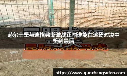 赫尔辛堡与迪格弗斯激战正酣谁能在这场对决中笑到最后